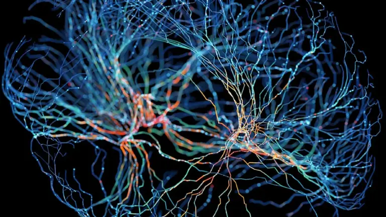 Dieses Signal im Kopf macht Sie plötzlich selbstlos – Forscher hackten Altruismus