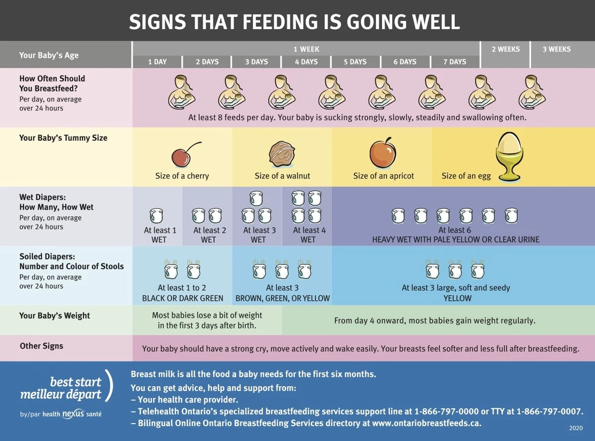Die WHO sagt: Hören Mütter auf, wenn das Baby erst 6 Monate alt ist? Der neue Schock-Fahrplan - image 2