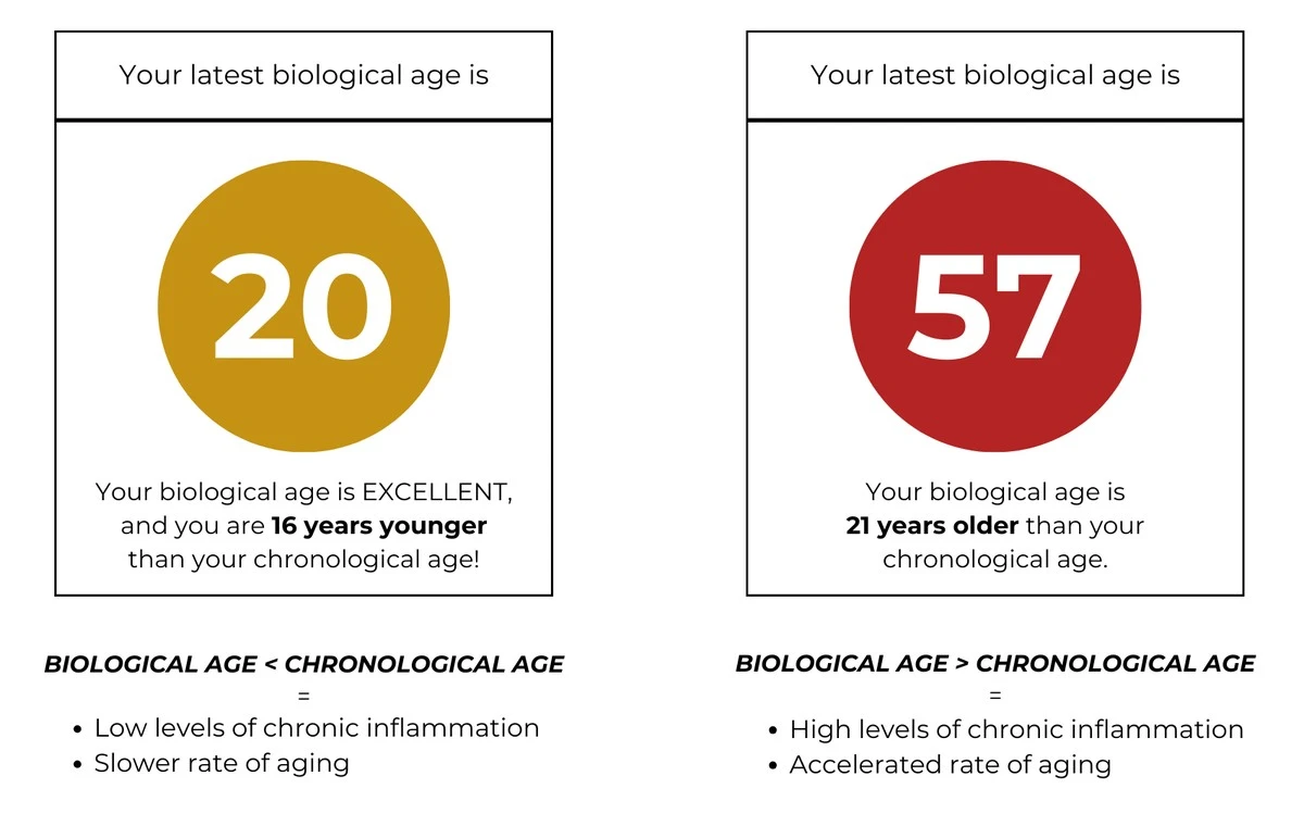Er machte Millionen, doch sein Körper log: DIESER eine Test fesselte ihn an seinen Todestag! - image 2