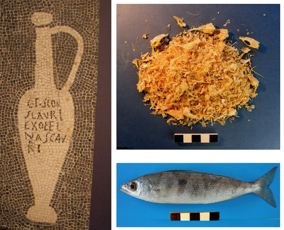 Finanzfahnder fanden dieses Wrack – aber die Ladung ist der wahre Schock - image 2