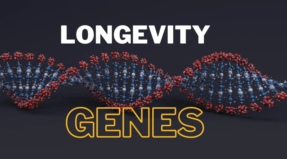 Gen-Geheimnis gelüftet: Darum altern Sie schneller, als Ihre Nachbarn (obwohl Sie Sport treiben) - image 1