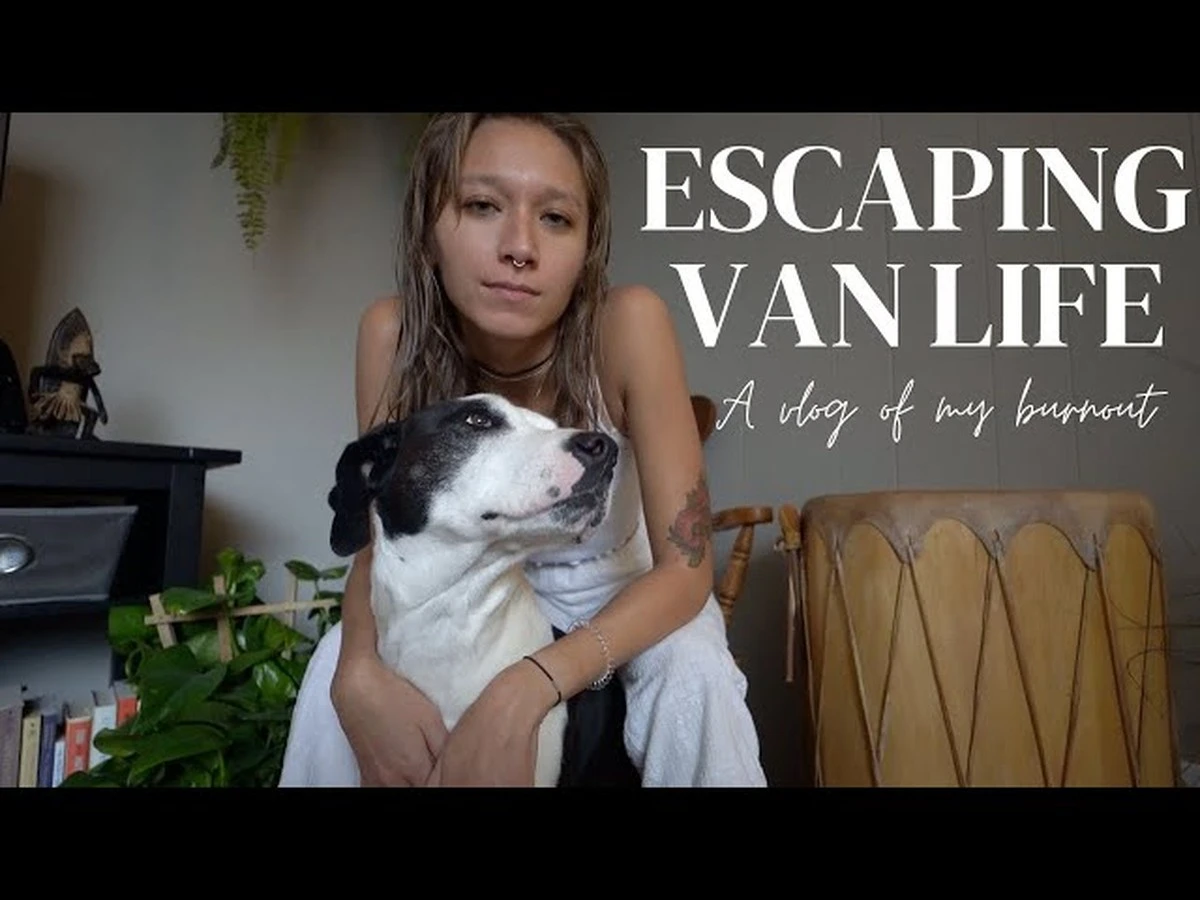 Medizinstudium abgebrochen: Warum diese 24-Jährige jetzt im Van lebt statt beim Chirurgen lernt - image 2