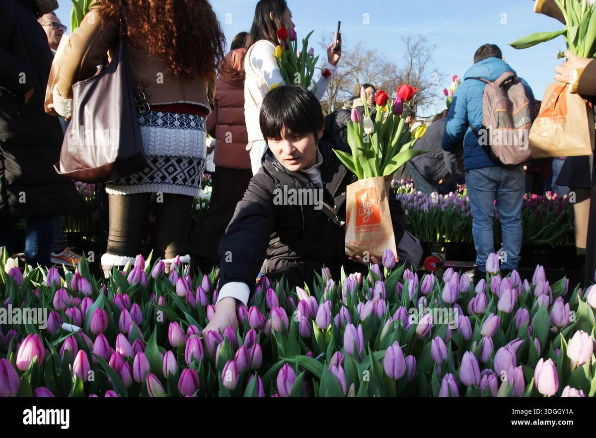 Nie wieder Amazon: Dieser Ex-Manager tauschte 70-Stunden-Wochen gegen 200 Hektar Tulpen – und machte den gröbsten Fehler seines Lebens - image 1