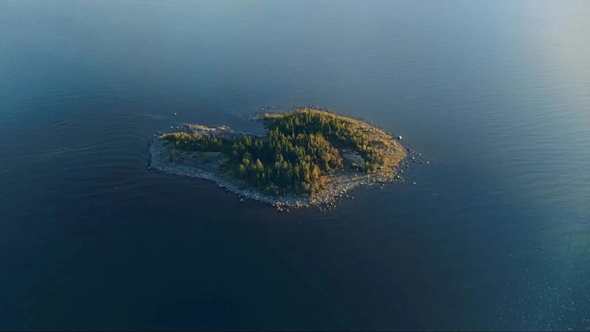 Reiche brauchen ihre Insel nicht: Schweden verschenkt dieses Paradies – aber nur an echte Naturliebhaber - image 1