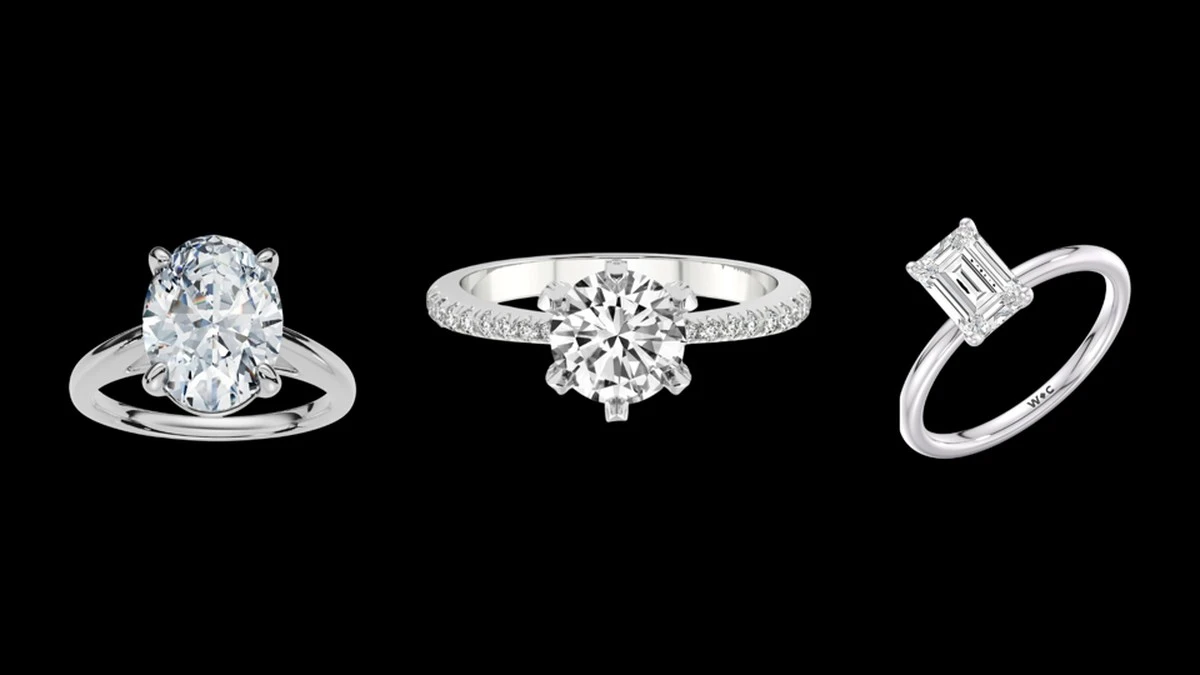 Selbst im Tod: Das absurde Erbe, für das Epstein seine Verlobte Millionärin machen wollte - image 1