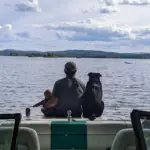 Stadtleben vs. Landidylle: Warum ich 5 Mal umzog – und was ich dabei lernte