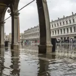 Tausende Fische flüchten in Venedigs Gassen – aber nicht wegen der Touristen