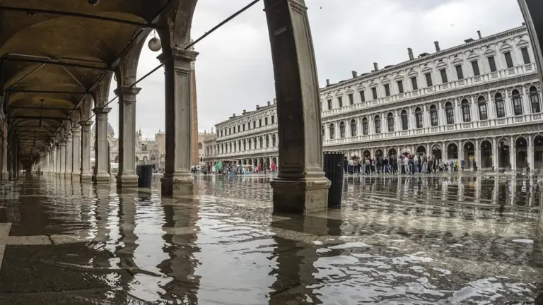 Tausende Fische flüchten in Venedigs Gassen – aber nicht wegen der Touristen