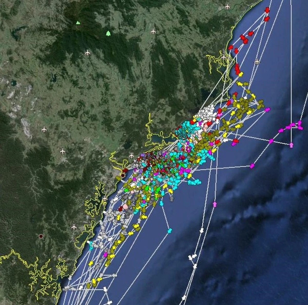 Warum dieser 750-Kilo-Hai vier Monate lang spurlos verschwand – und was Forscher jetzt hoffen - image 1