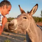 Warum Ihr Chef sturer handelt als jeder Esel – und Sie das endlich kopieren sollten