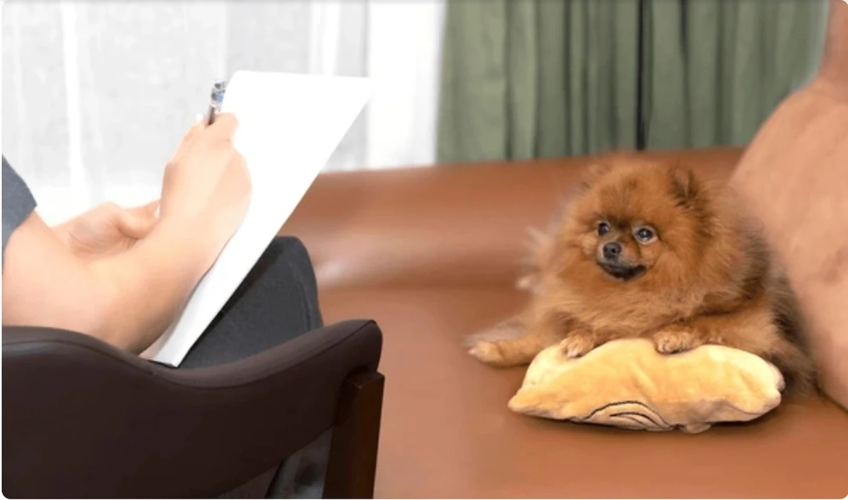 Warum Ihr Chef sturer handelt als jeder Esel – und Sie das endlich kopieren sollten - image 2