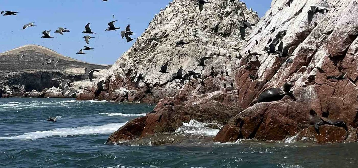 Was dieses vergessene Anden-Königreich schneller reich machte als Gold: Der geheime Power-Booster - image 2