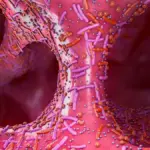 Antibiotika: Acht Jahre später – Ihr Darm hat es nicht vergessen