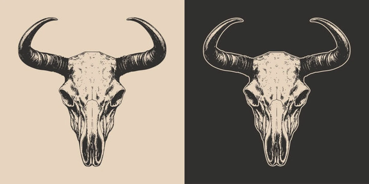 Dieser 10.500 Jahre alte Schädel hält ein schmutziges Geheimnis: Es ist kein Unfall, was darin steckt. - image 1