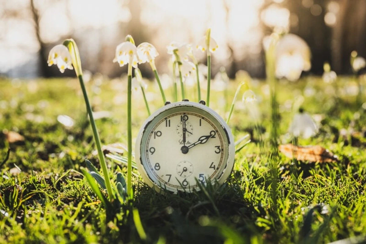 Dieser eine Tag im März 2026 raubt dir deinen Schlaf – und die Börse tanzt Samba