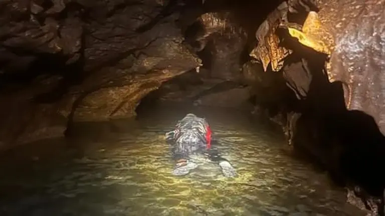 Vergessen Sie Alles, was Sie über Eisschmelze wissen: Darum lagen in Texas Plötzlich Tierriesen aus der Warmzeit!