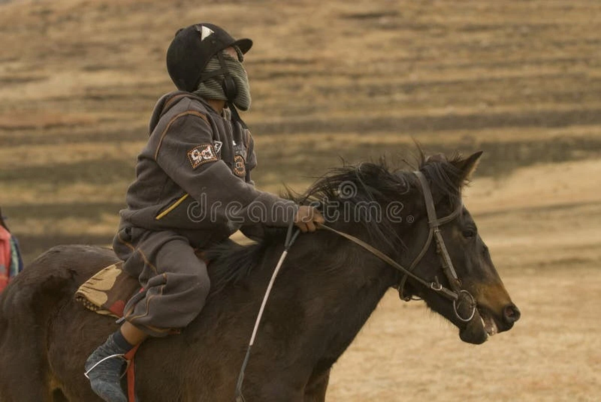 Wie dieser 26-JÄHRIGE mit Rennpferden 25.000 $ verdiente – und was das mit Ihrem Bankkonto zu tun hat - image 1