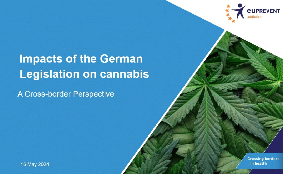 Der krasse Fehler nach der Cannabis-Legalisierung: Warum jetzt Ihre Psyche stärker leidet - image 1