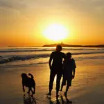 Ich schickte meinen 13-Jährigen nach Australien – heute gibt er mir Finanztipps statt Hausaufgabenhilfe