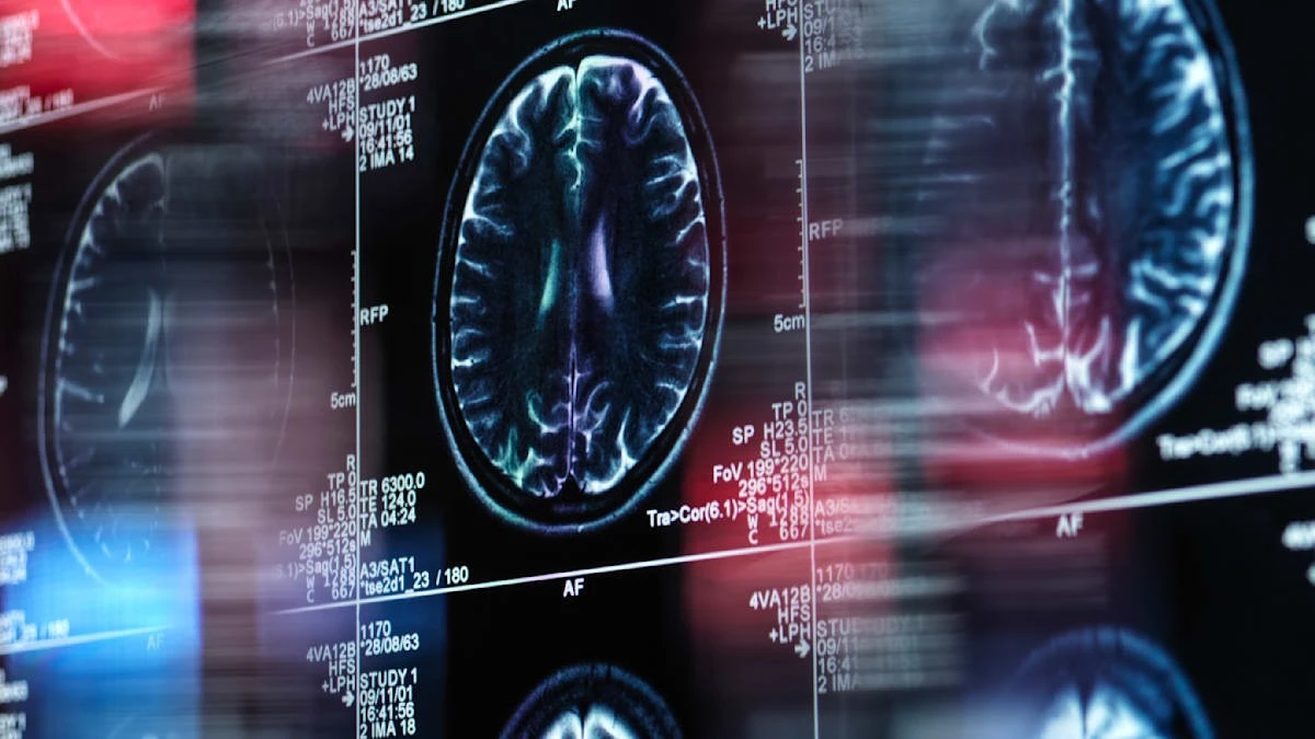 Warum Ihr Gehirn Sie heimlich zum Heuchler macht: Der eine Cortex, der Moral sabotiert