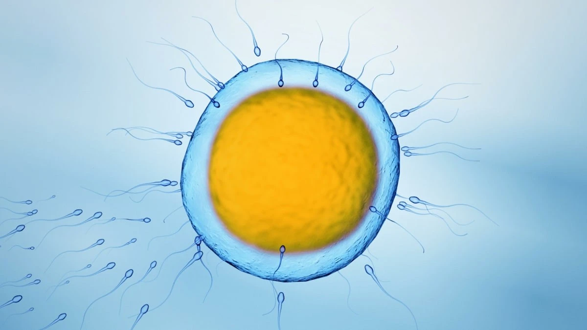 Warum unsere Klon-Träume an einer unsichtbaren Grenze scheitern