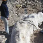 Was deutsche Forscher in Argentinien ausgruben – und warum Ihr Geschichtsbuch falsch liegt