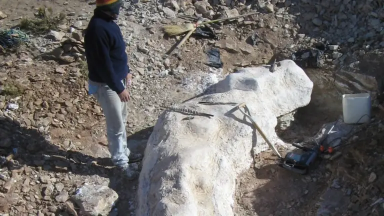 Was deutsche Forscher in Argentinien ausgruben – und warum Ihr Geschichtsbuch falsch liegt