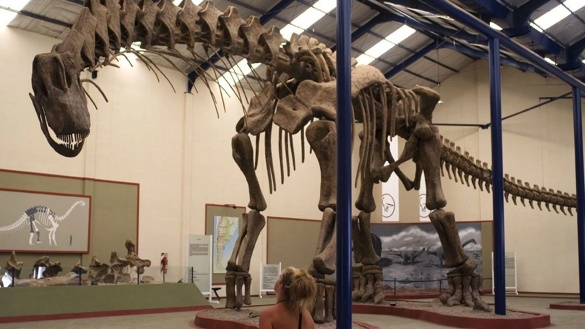 Was deutsche Forscher in Argentinien ausgruben – und warum Ihr Geschichtsbuch falsch liegt - image 1