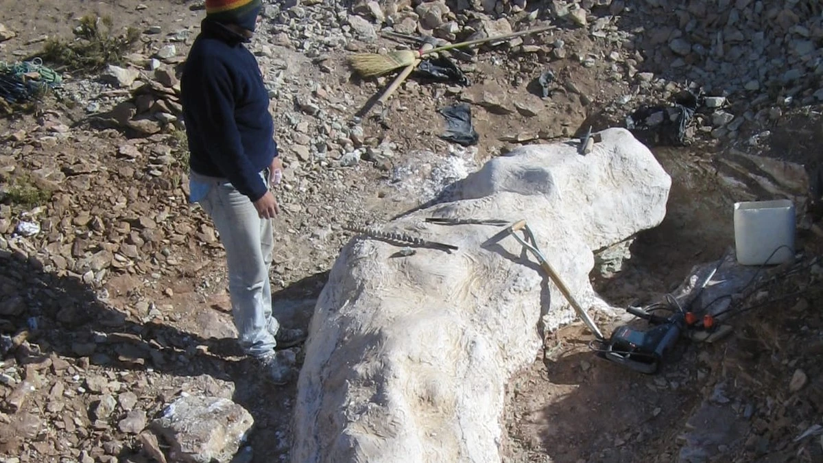 Was deutsche Forscher in Argentinien ausgruben – und warum Ihr Geschichtsbuch falsch liegt